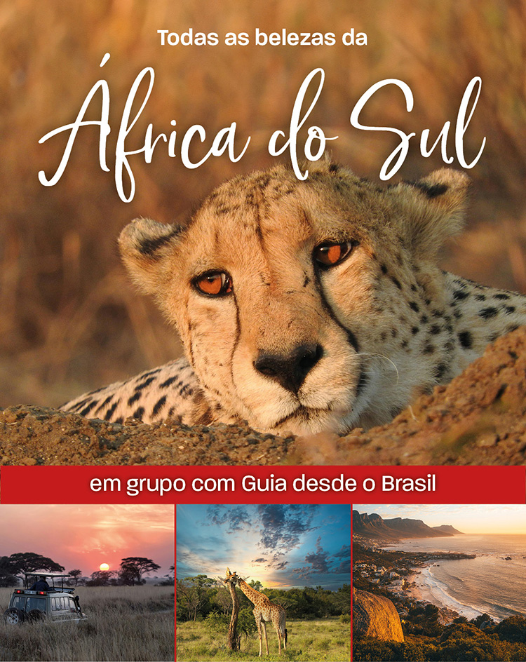 FLOT VIAGENS