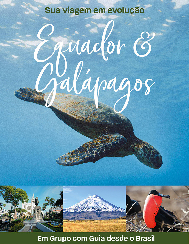 FLOT VIAGENS