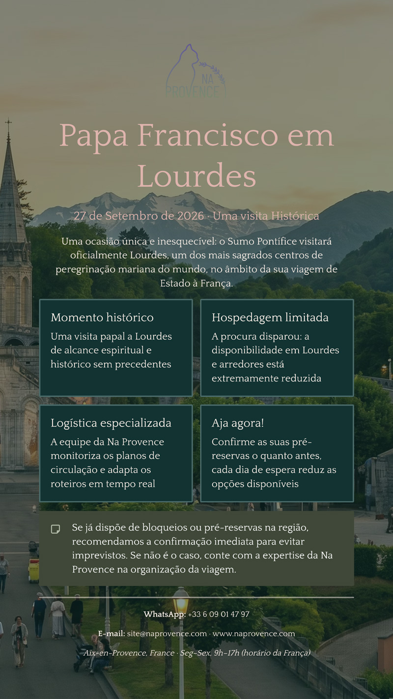 NA PROVENCE - SUA DMC NA FRAN&Ccedil;A