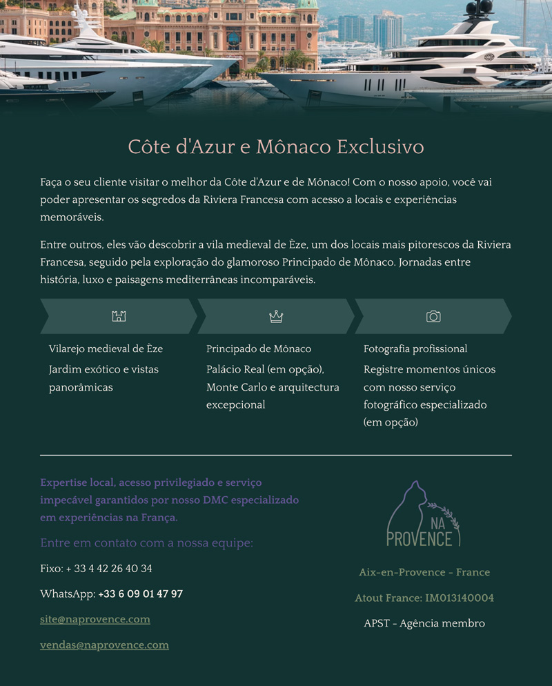 NA PROVENCE - SUA DMC NA FRAN&Ccedil;A