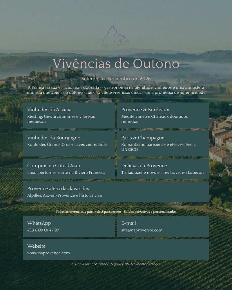 NA PROVENCE - SUA DMC NA FRAN&Ccedil;A