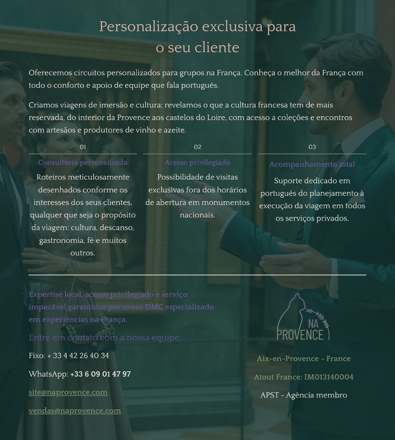 NA PROVENCE - SUA DMC NA FRAN&Ccedil;A