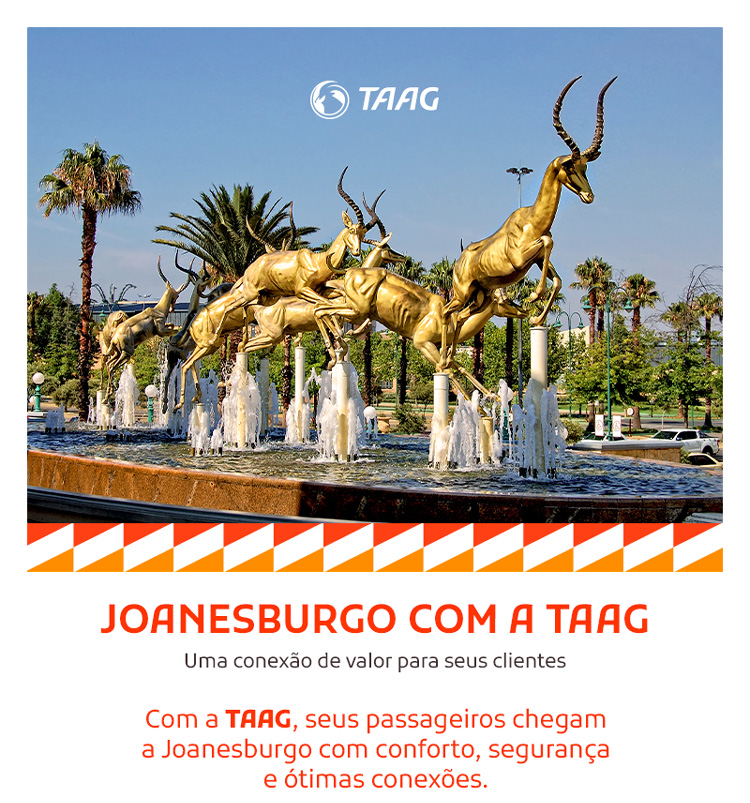 TAAG LINHAS A&Eacute;REAS DE ANGOLA