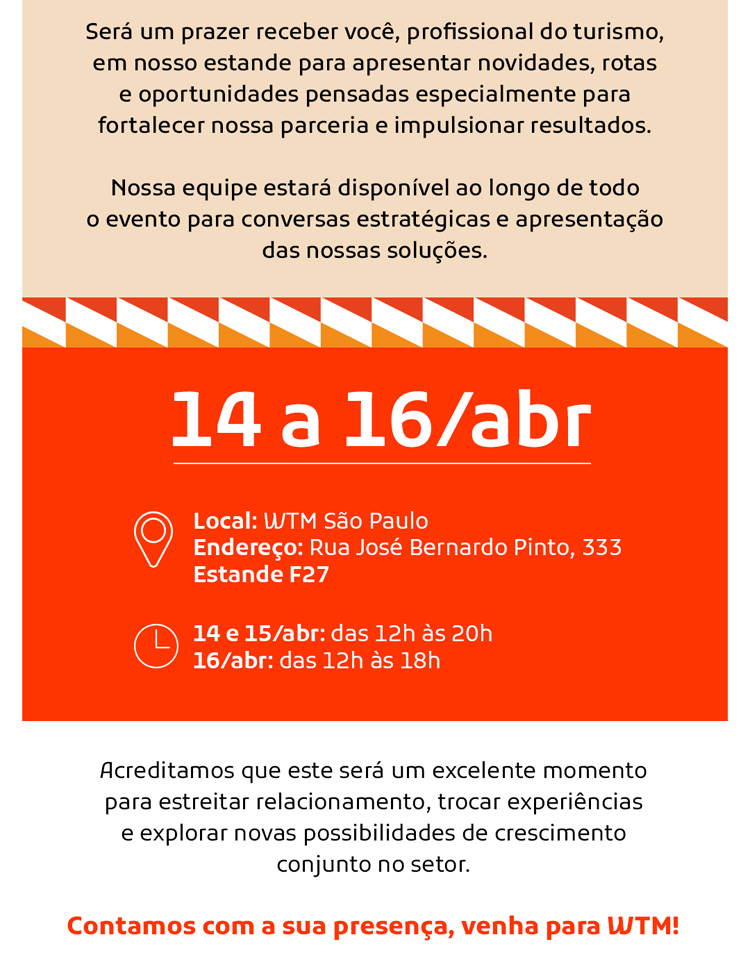 TAAG LINHAS A&Eacute;REAS DE ANGOLA